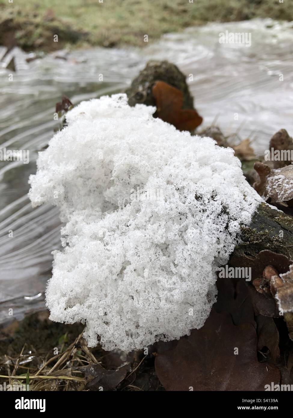 Weißer Schaum (gelöste organische Substanz) aus gefrorenem, rückläufiger, überflutetem Winterstrom in Hampshire, Vereinigtes Königreich - Smartphone-aufgenommenes Stockfoto
