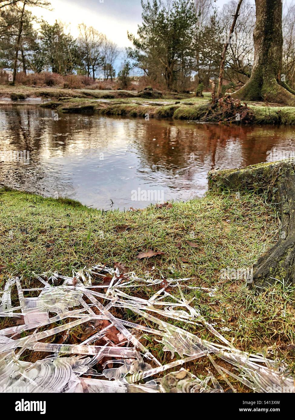 Eiskristall abstrakte Muster auf gefrorener Pfütze aus dem rückläufigen überfluteten „Ober Water“-Bach im New Forest National Park Hampshire, Vereinigtes Königreich Stockfoto