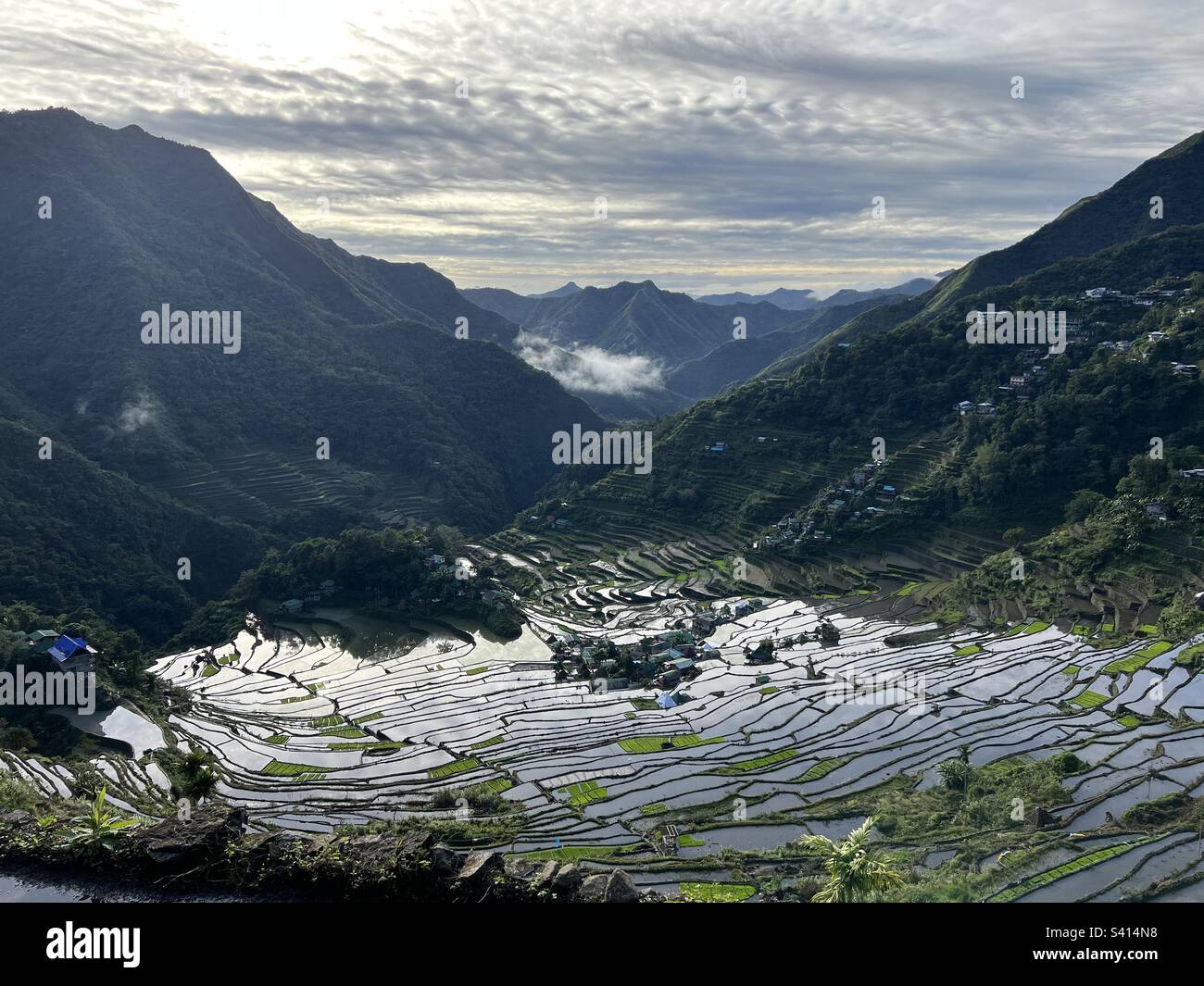 Atemberaubender Blick auf die Batad-Reisterrassen früh am Morgen Stockfoto