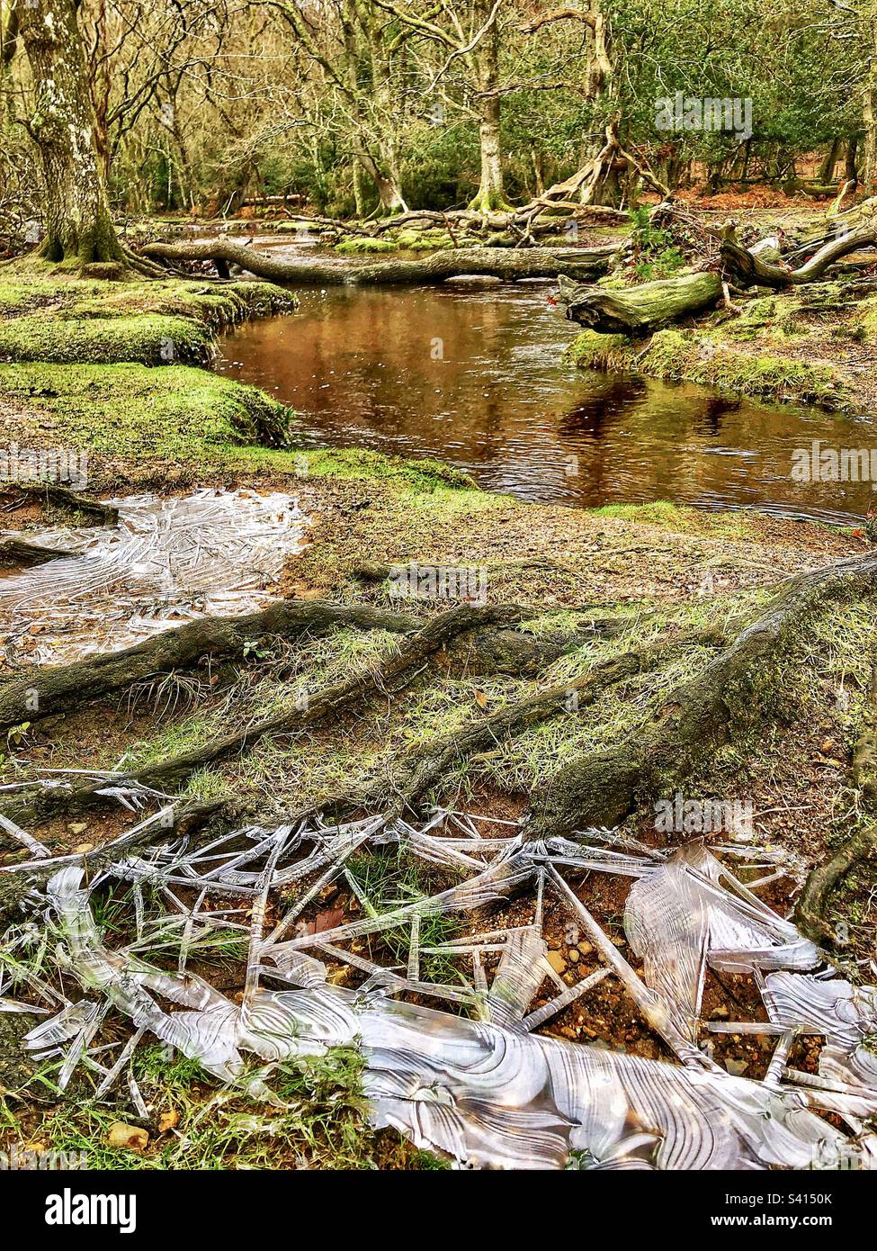 Eiskristall abstrakte Muster auf gefrorener Pfütze aus dem rückläufigen überfluteten „Ober Water“-Bach im New Forest National Park Hampshire, Vereinigtes Königreich Stockfoto
