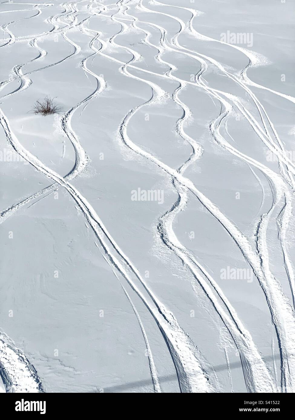 Skipisten durch frischen Schnee, Alpe d’Huez, Frankreich. Stockfoto