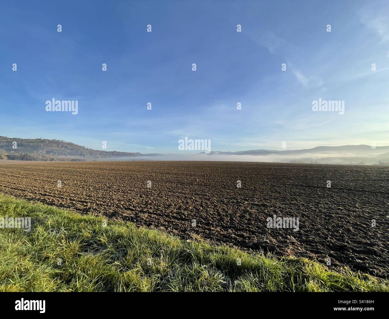 Herbstmorgen - Smartphone-aufgenommenes Stockfoto