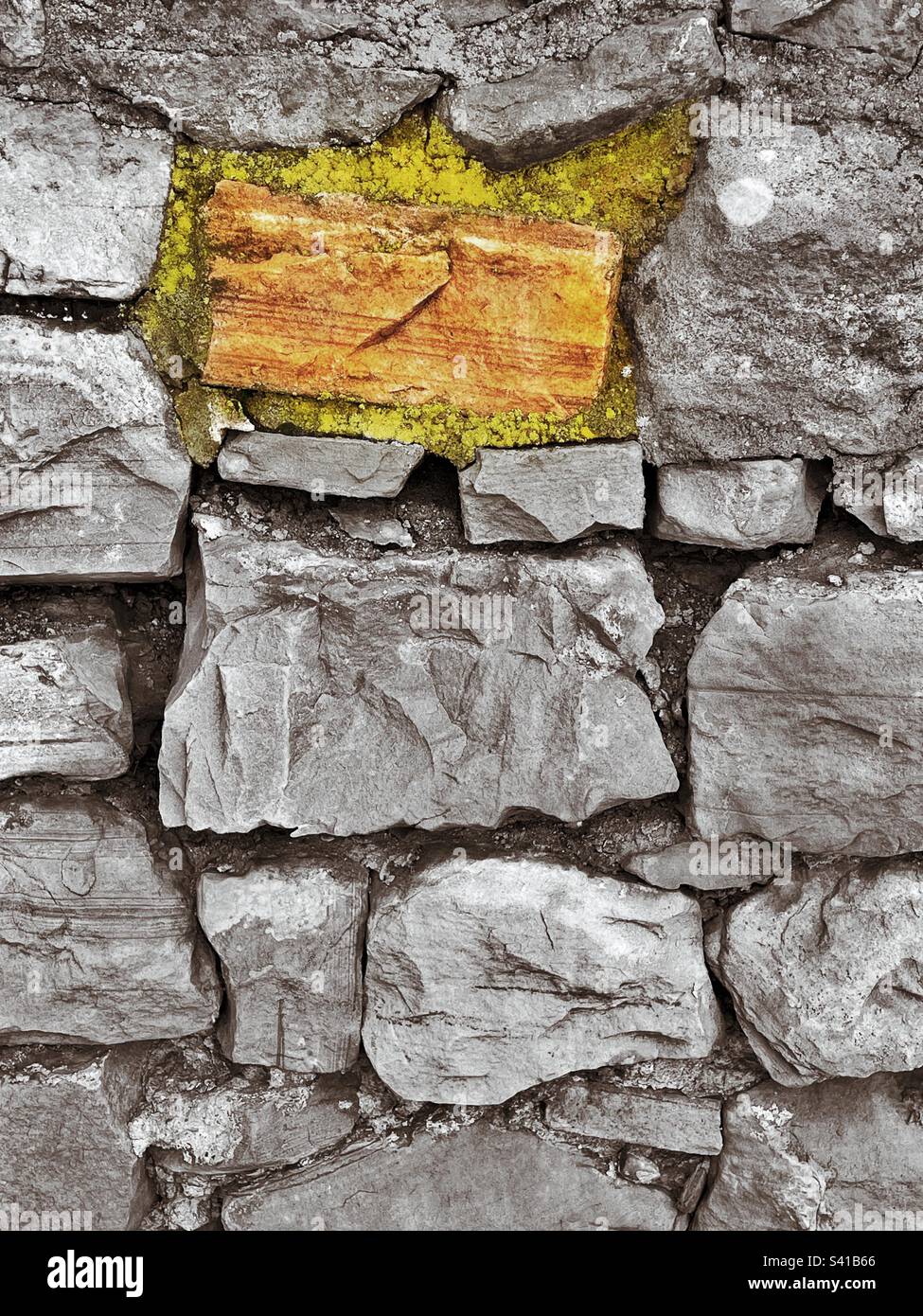 Ein einsamer „Color Select“-Stein mit etwas moosem Boden fällt in dieser rauen Steinmauer hervor. Stockfoto