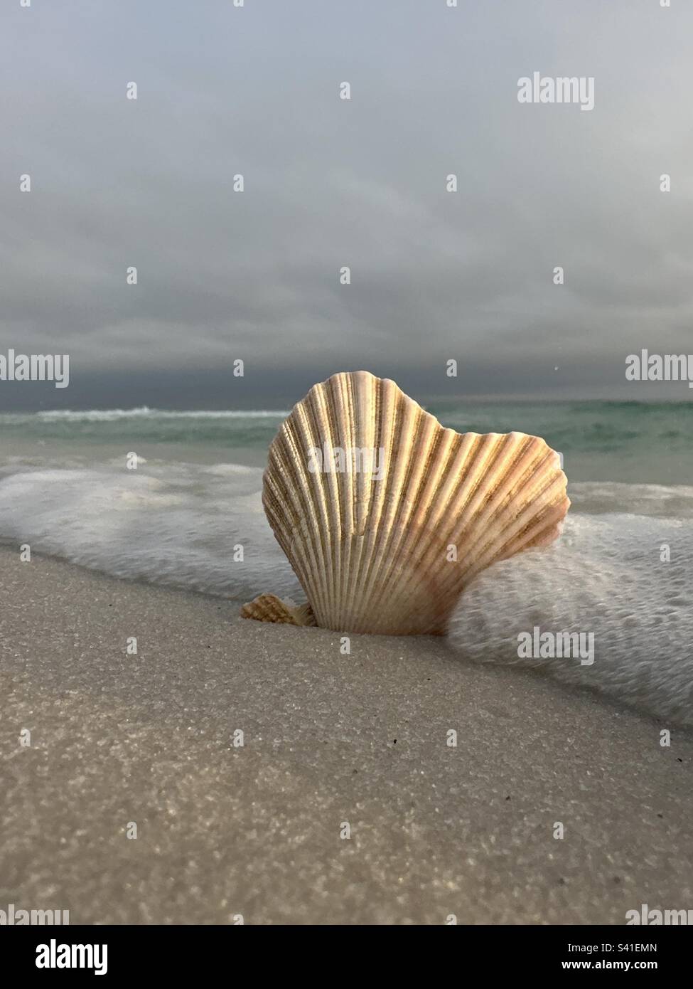 Herzförmige Muschel mit Blick auf den Ozean im Hintergrund Stockfoto