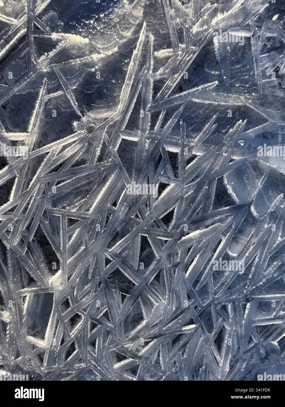 Nahaufnahme eines Musters von sonnenbeleuchteten Eisnadeln mit Eisfrost am Atlin Lake, British Columbia. - Smartphone-aufgenommenes Stockfoto