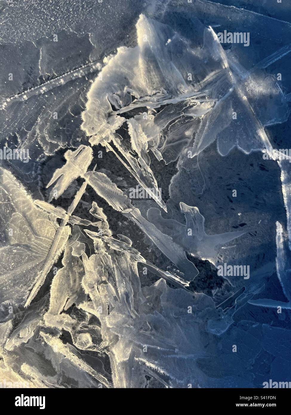 Pelikanförmige Eisfigur, sonnenbeleuchtet und umgeben von chaotischen Eisformationen. Atlin Lake, British Columbia. - Smartphone-aufgenommenes Stockfoto