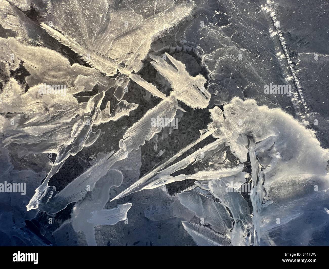 Pelikanförmige Eisfigur, sonnenbeleuchtet und umgeben von chaotischen Eisformationen. Atlin Lake, British Columbia. - Smartphone-aufgenommenes Stockfoto