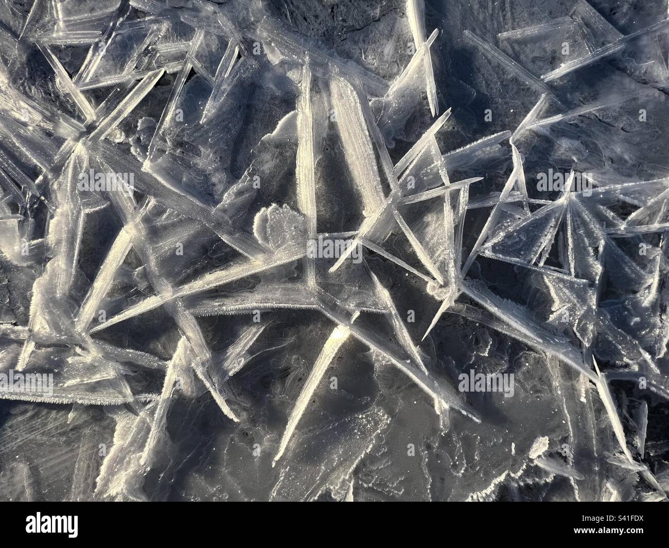 Nahaufnahme eines Musters von sonnenbeleuchteten Eisnadeln mit Eisfrost am Atlin Lake, British Columbia. - Smartphone-aufgenommenes Stockfoto