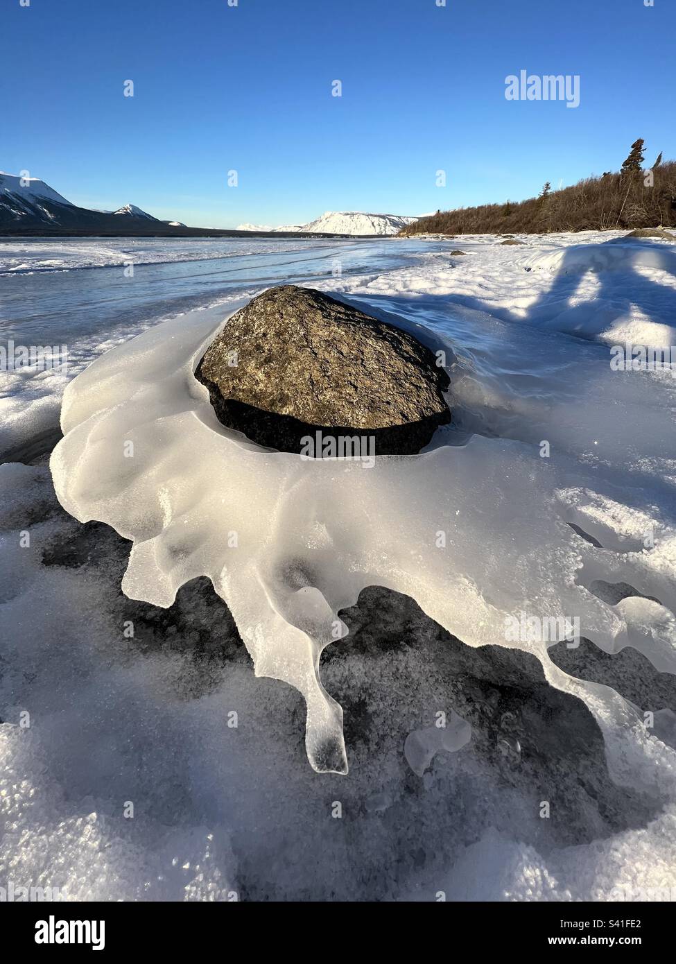 Sonnenbeleuchteter Felsen, umgeben von elegantem Eis, geformt von Frost und Taue, und tiefblauer Himmel, mit Bergen und Bäumen im Hintergrund. Ufer des Atlin Lake, British Columbia. - Smartphone-aufgenommenes Stockfoto
