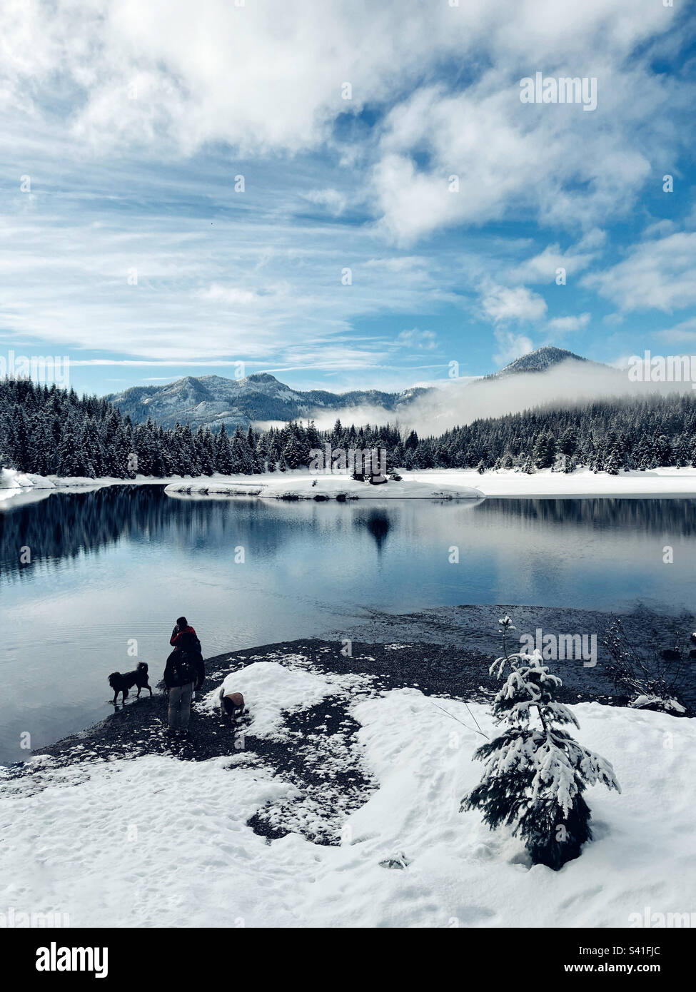 Blick auf den Snoqualmie Pass vom Gold Creek Pond in Cascade Mountains mit Wanderer und Hund Stockfoto