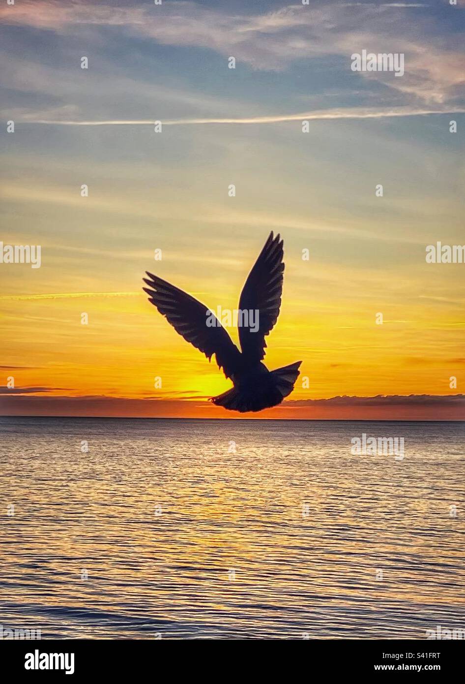 Schutzengel - eine Silhouette einer Taube, die in den Sonnenuntergang über dem Ozean fliegt. Stockfoto