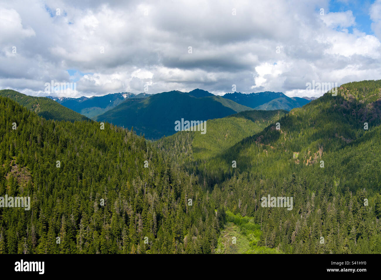 Die olympischen Berge im Juni Stockfoto
