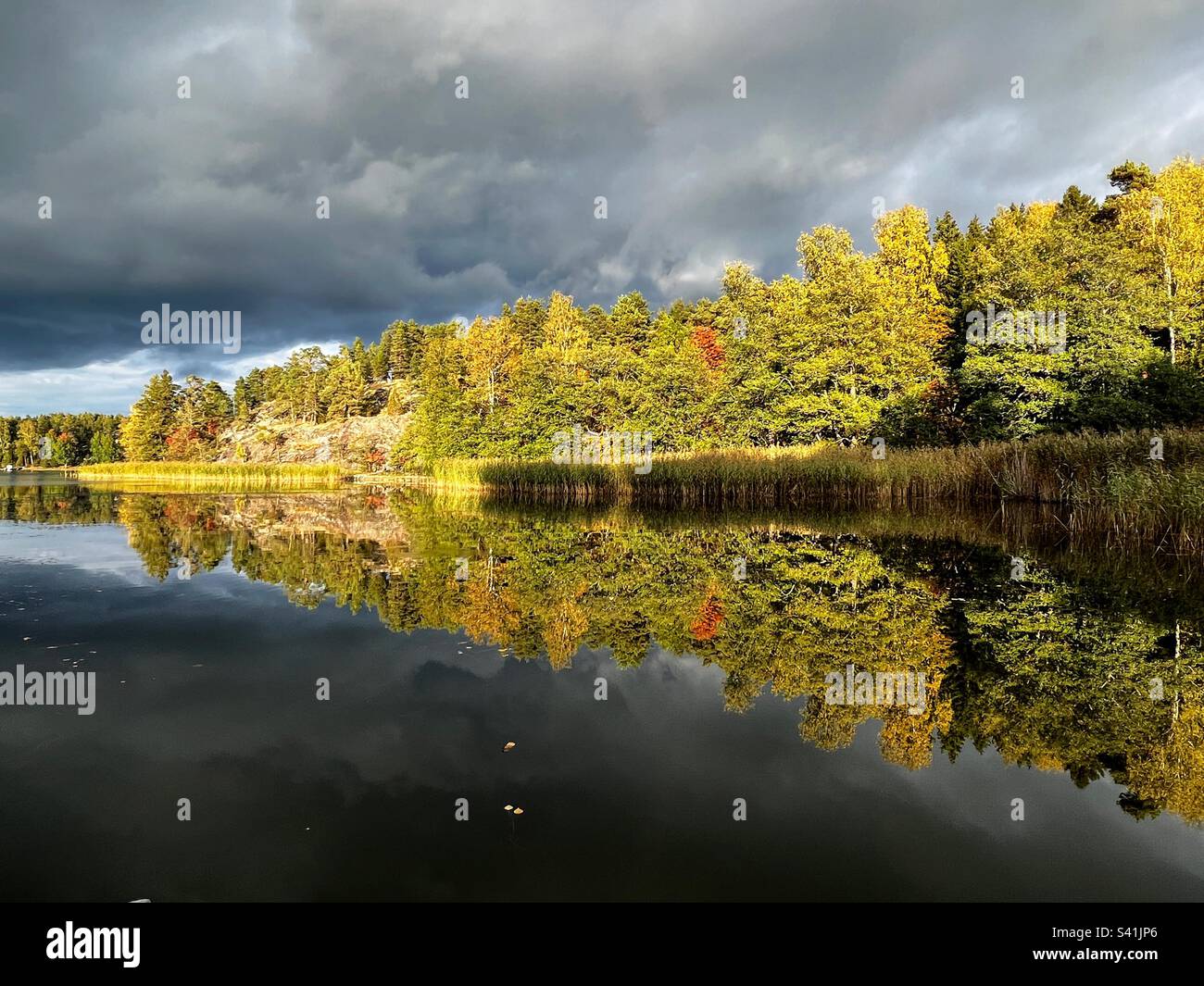 Atemberaubende Herbstlandschaft, finnische Natur, helles, sonnenbeleuchtetes, farbenfrohes Baumhaus an der Küste unter dunklen Sturmwolken mit Reflexion in glatter, ruhiger Wasseroberfläche der Ostsee Stockfoto