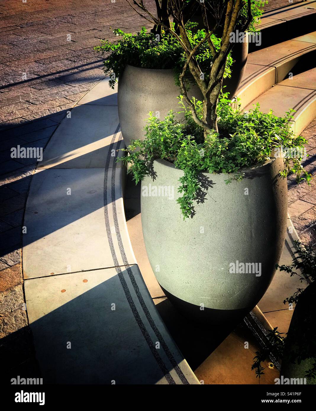 Pflanze Töpfe, die im Morgenlicht in Kings Cross, London, gefangen wurden - Smartphone-aufgenommenes Stockfoto