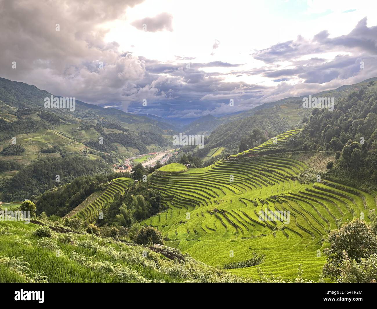 Die terrassenförmigen Reisfelder in Vietnam Stockfoto