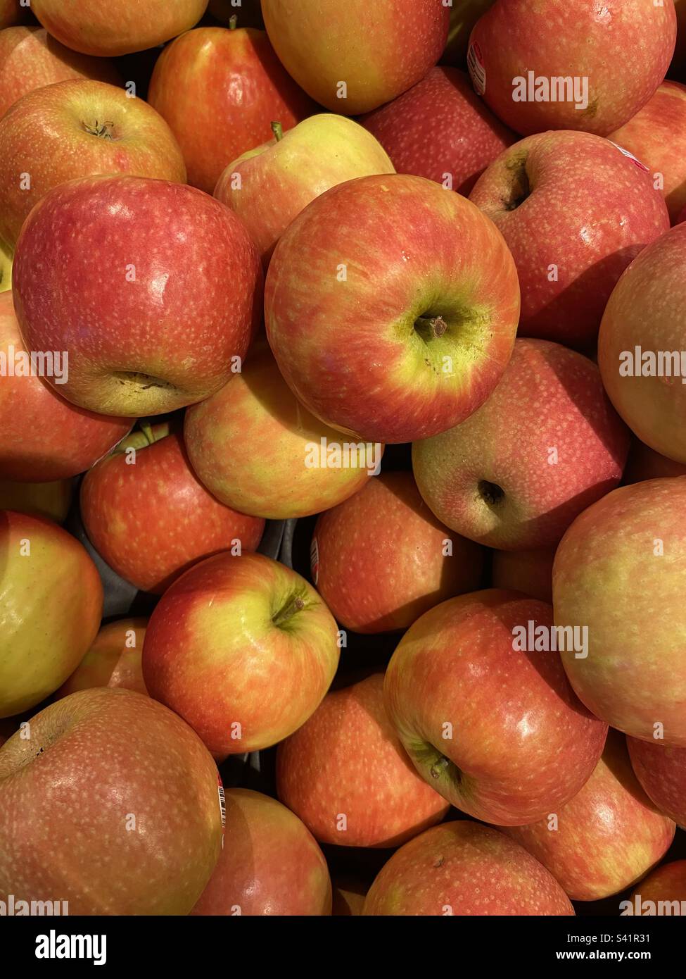 Ein Haufen Äpfel Stockfoto