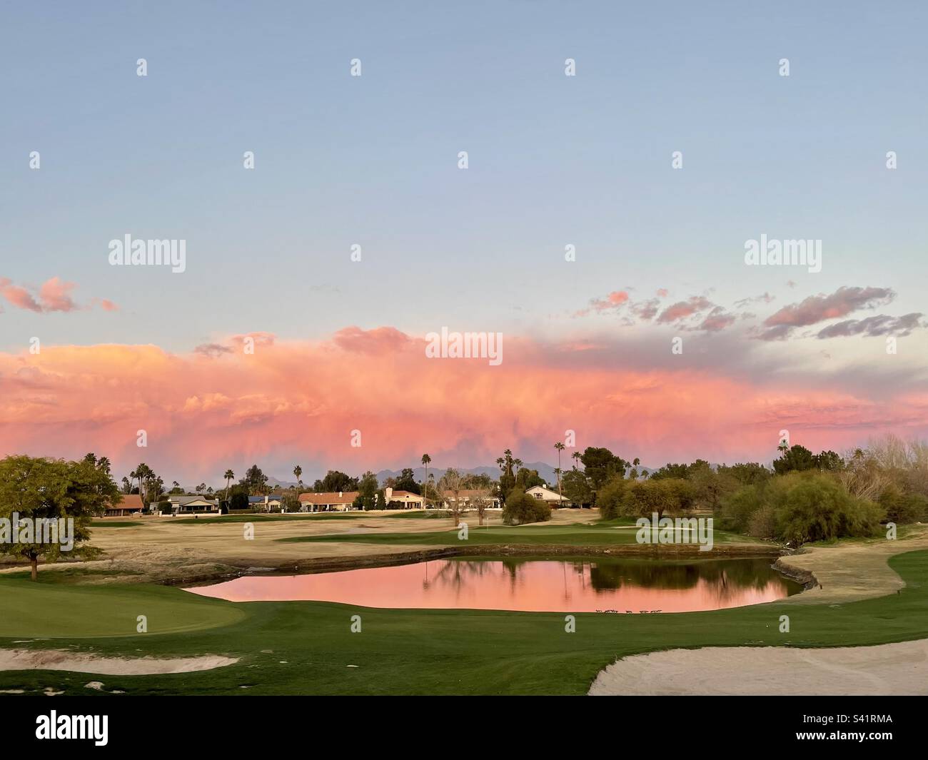 Arizona Sunset, Scottsdale Golfplatz, grün, Fairway, Sandfallen, Teich Reflexionen, rosa und gelbe Wolken, Scottsdale, AZ, USA Stockfoto