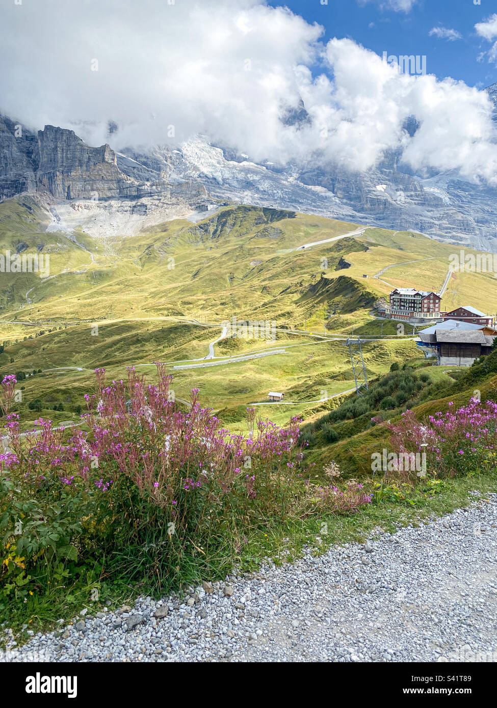 Panoramastraße von Mannlichen nach Wengen. Ankunft am Bahnhof Wengen, Blick auf den Eiger-Gletscher, Pfad, Tal und irische Heather-Blume. Stockfoto