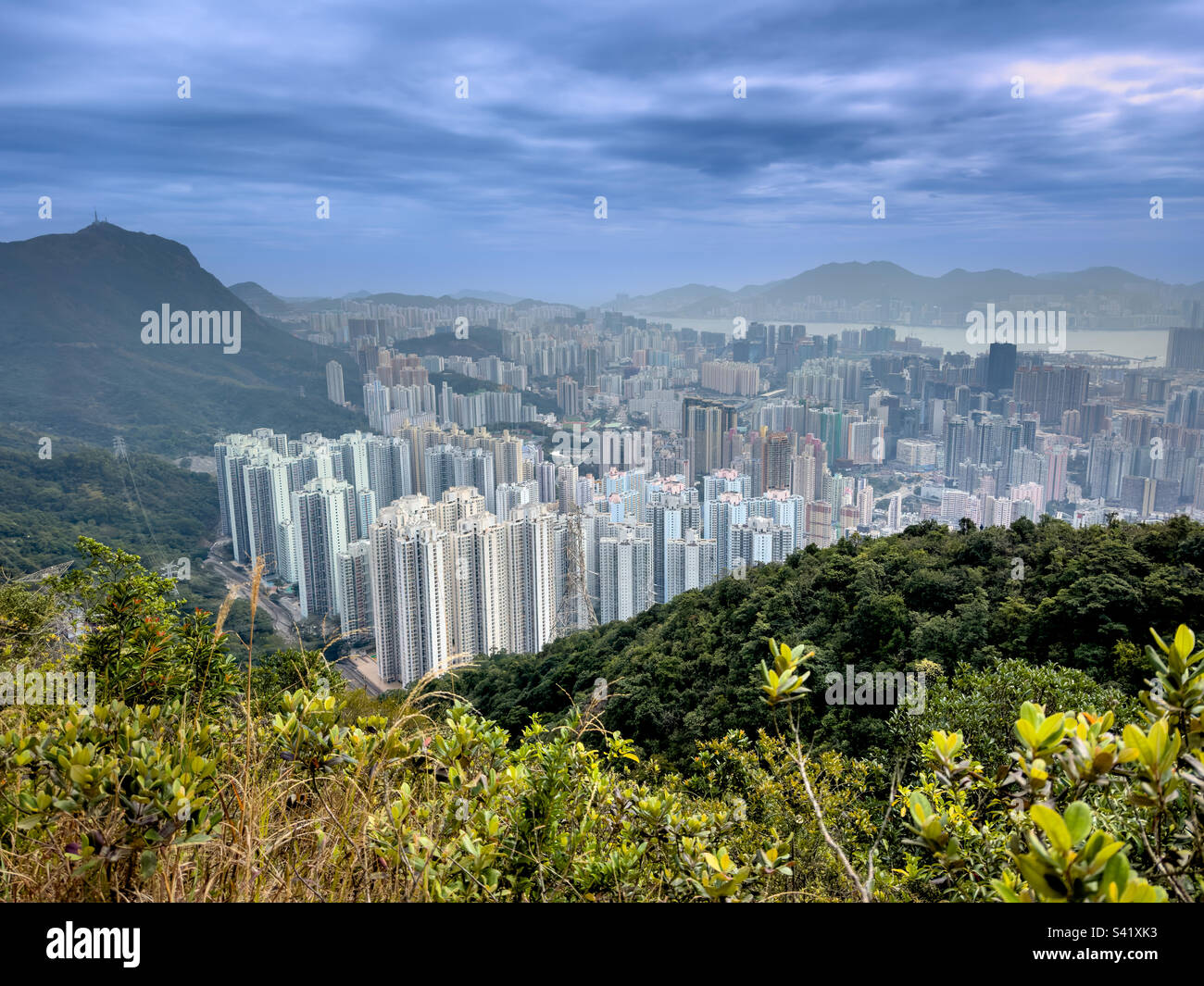 Die Skyline von Hong Kong vom Gipfel des Lion Rock in Kowloon, Hong Kong Stockfoto