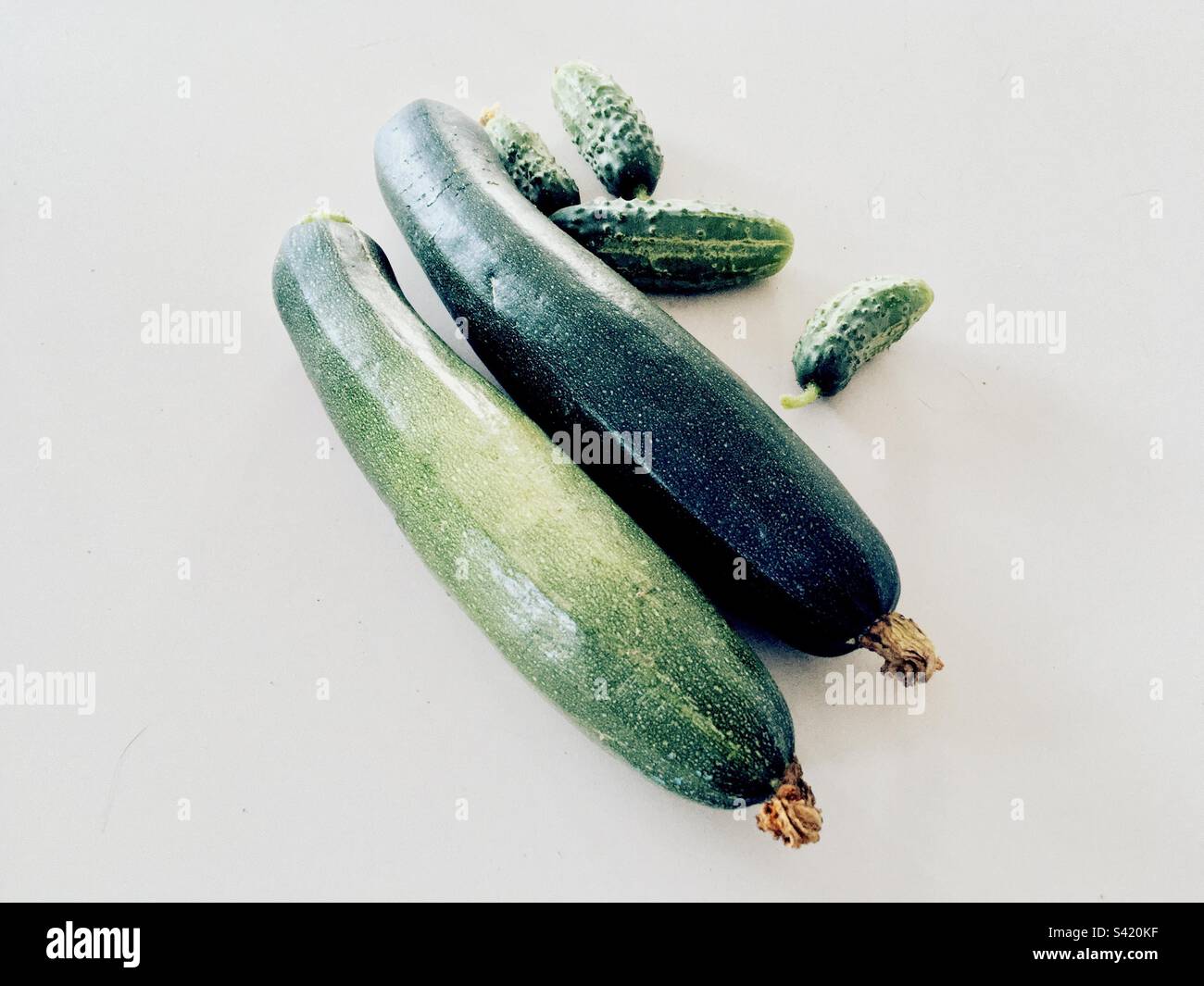 Zwei Zucchini und vier Bio-Gurken aus dem Garten auf weißem Hintergrund Stockfoto