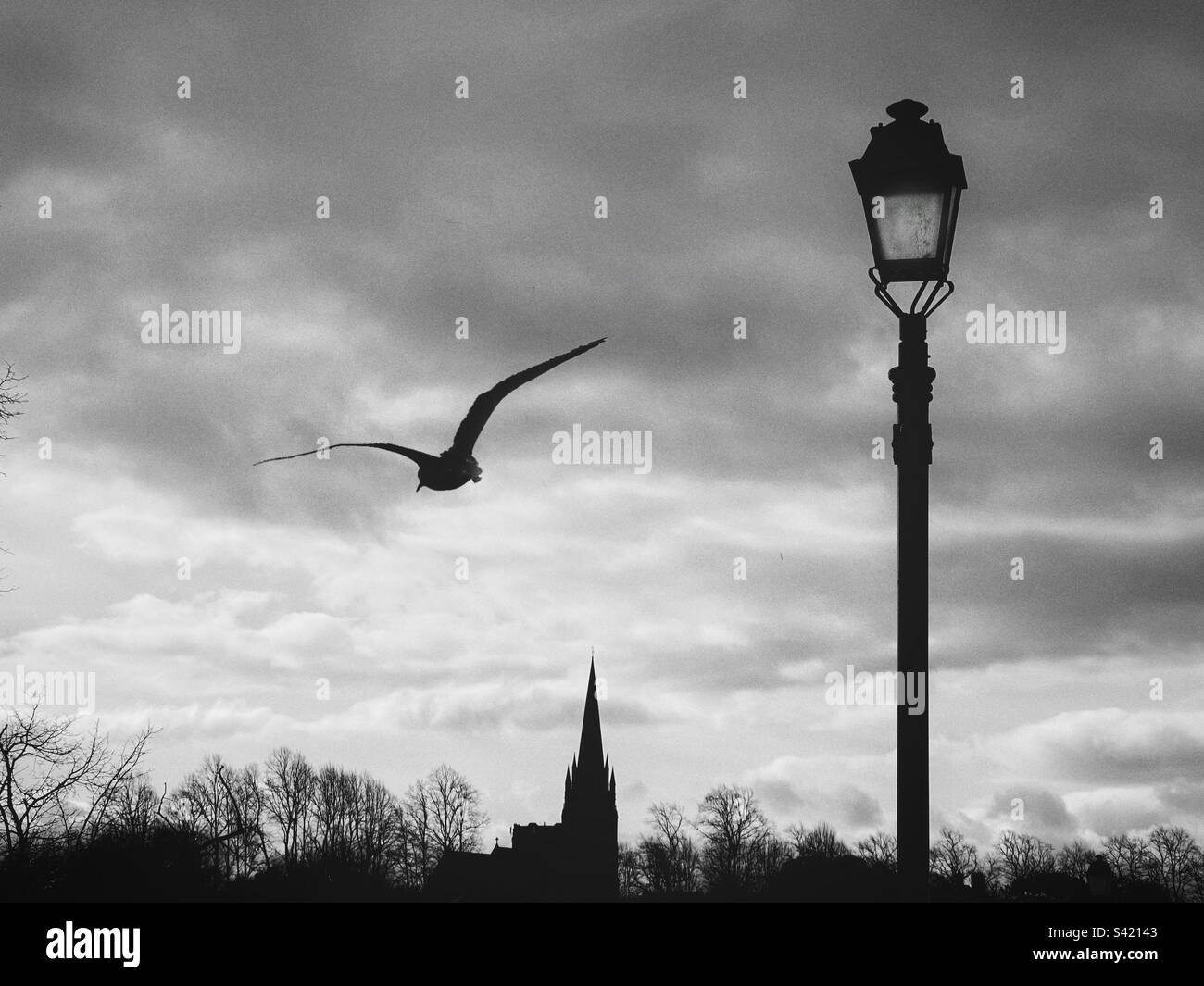 Möwen fliegen über den Fluss Dee in Chester mit St. Mary, eine Kurve im Hintergrund und traditionelle Straßenlampe in Silhouette im Vordergrund Stockfoto