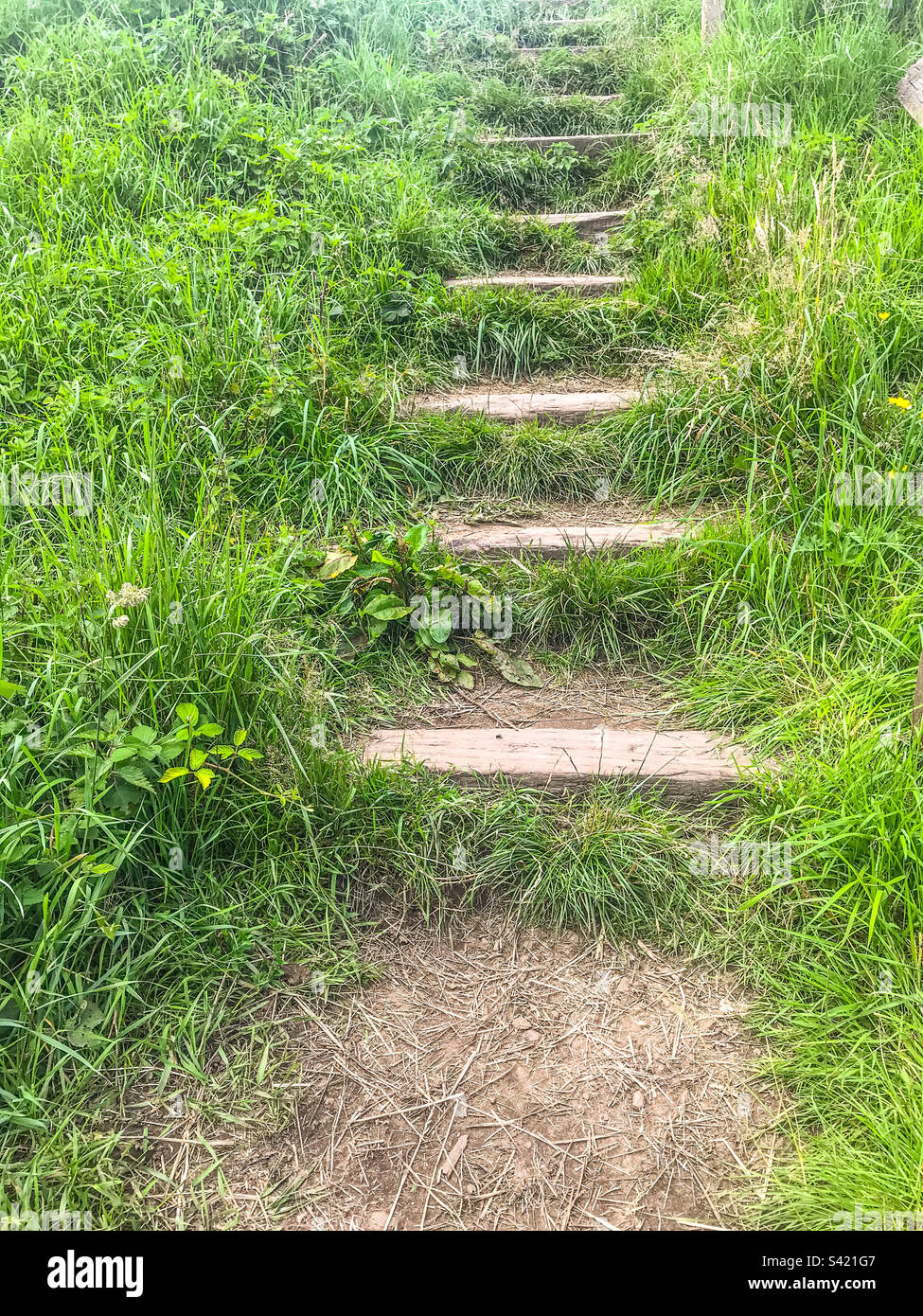 Angebot Wasserpark Naturschutzgebiet - Smartphone-aufgenommenes Stockfoto