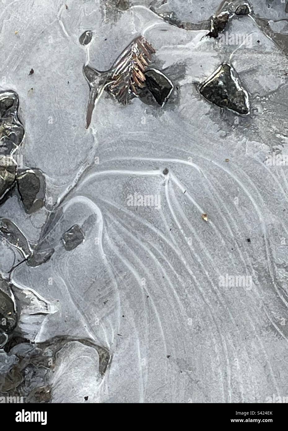 Eisbedeckte Pfütze mit Steinen und spaltenden Designs Stockfoto