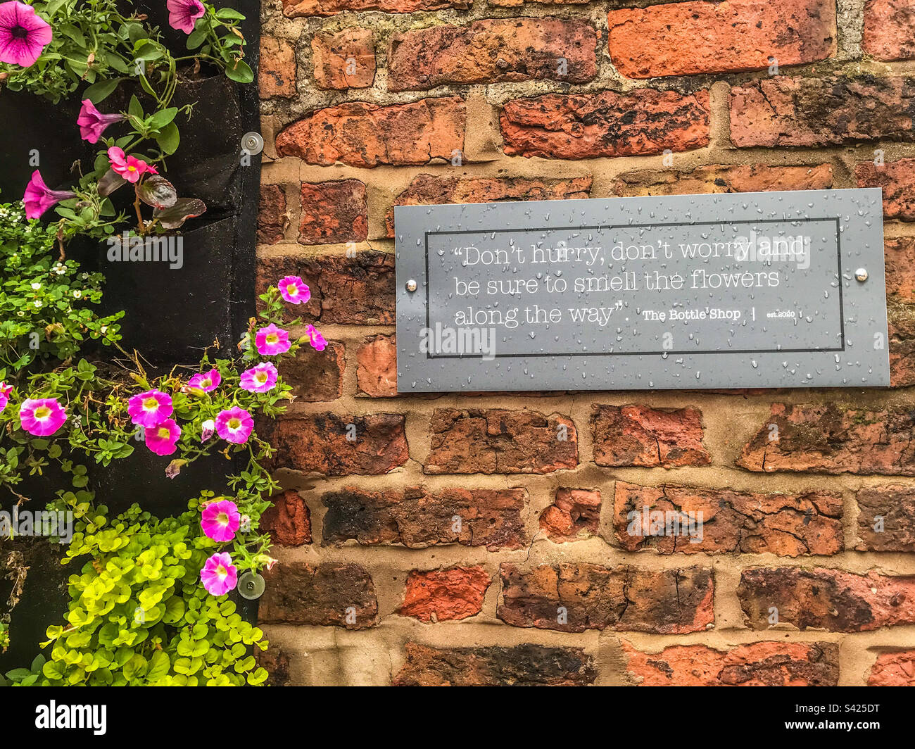 Keine Eile, keine Sorge Stockfoto