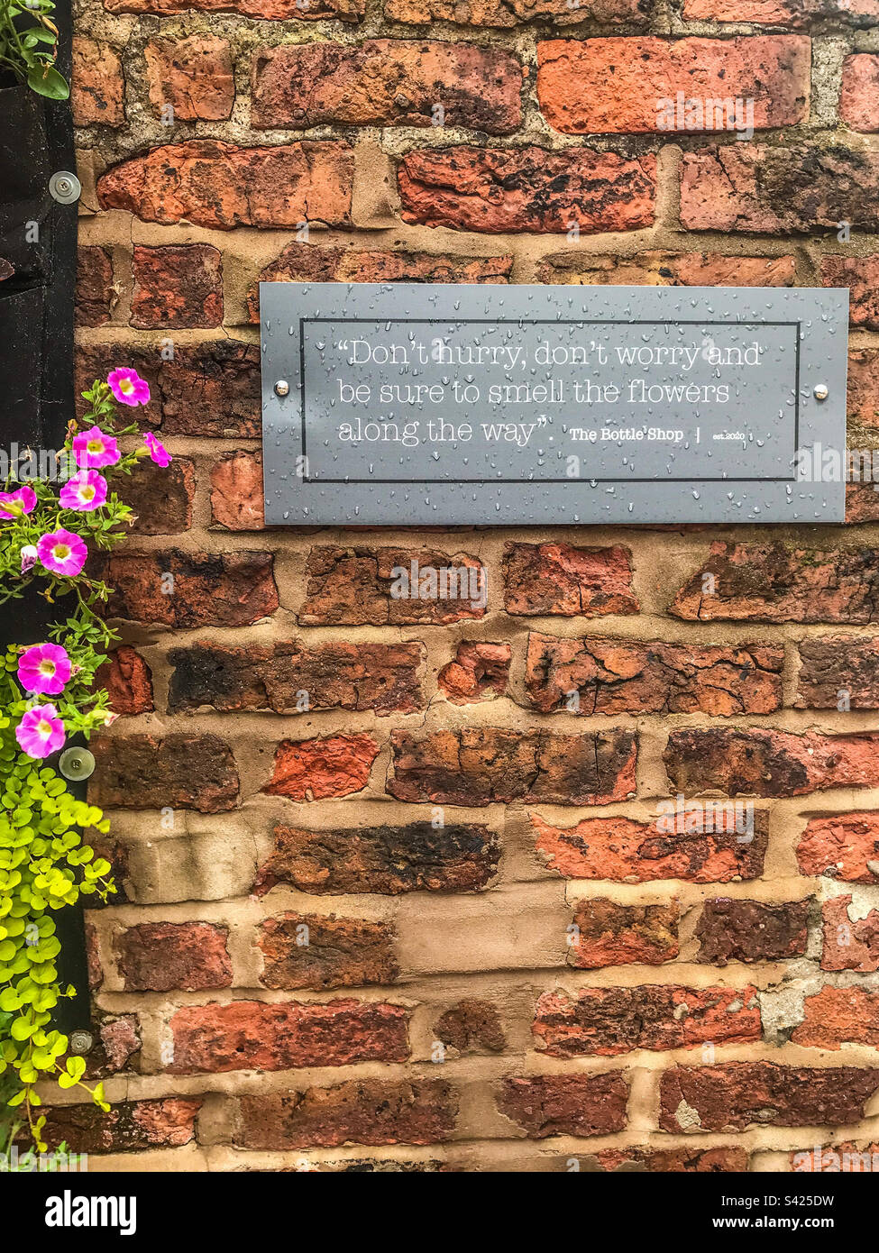 Keine Eile, keine Sorge Stockfoto