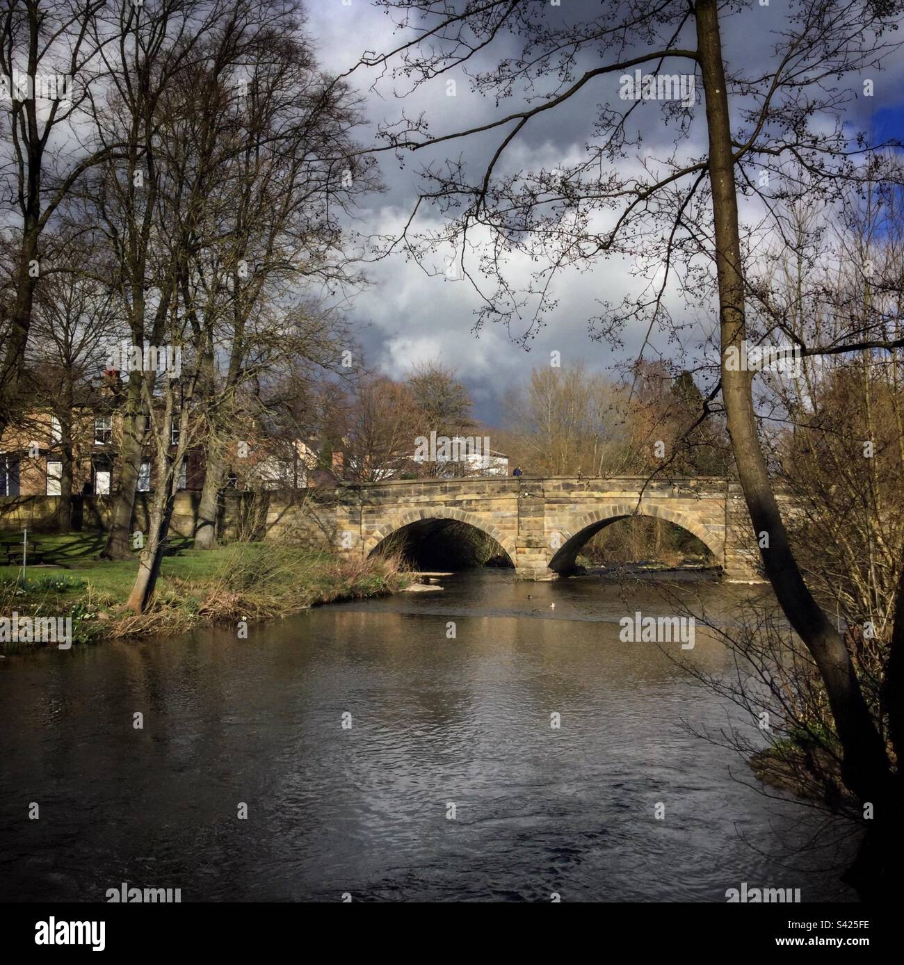 River Walkway, Ripon, Großbritannien. - Smartphone-aufgenommenes Stockfoto
