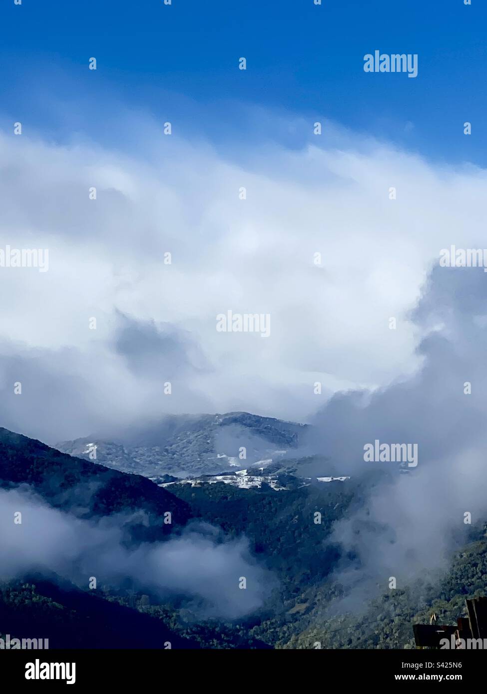 Carmel Valley nach einem frischen Schneefall im Februar – Monterey County, Kalifornien Stockfoto