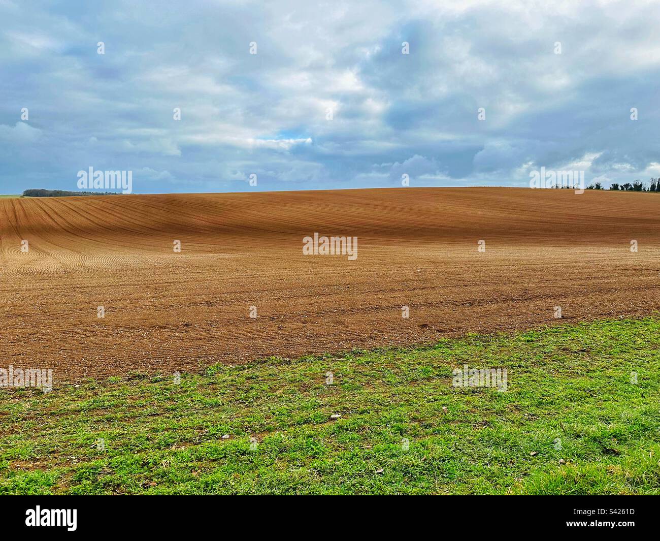Leeres Feld im Winter mit Grasstreifen und bewölktem Himmel Stockfoto
