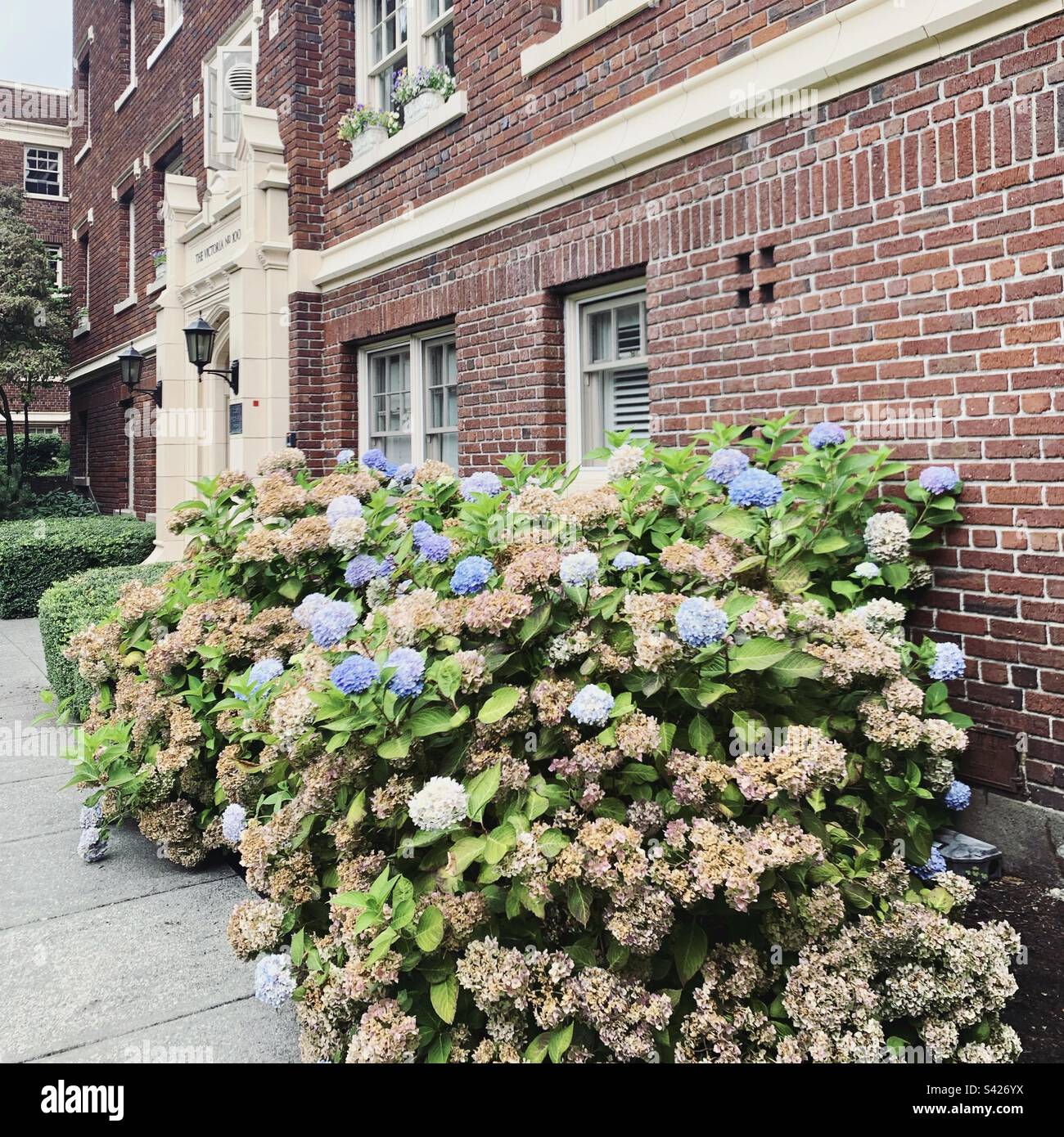 August 2022, The Victoria, ein Wohnkomplex in Uptown, Seattle, Washington, USA - Smartphone-aufgenommenes Stockfoto