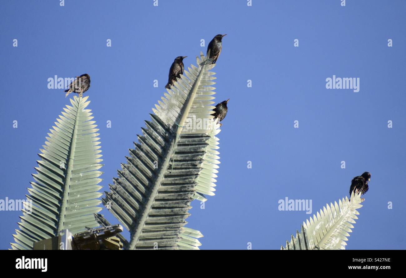 Vögel, die auf einem gefälschten Mobilfunkmast sitzen Stockfoto