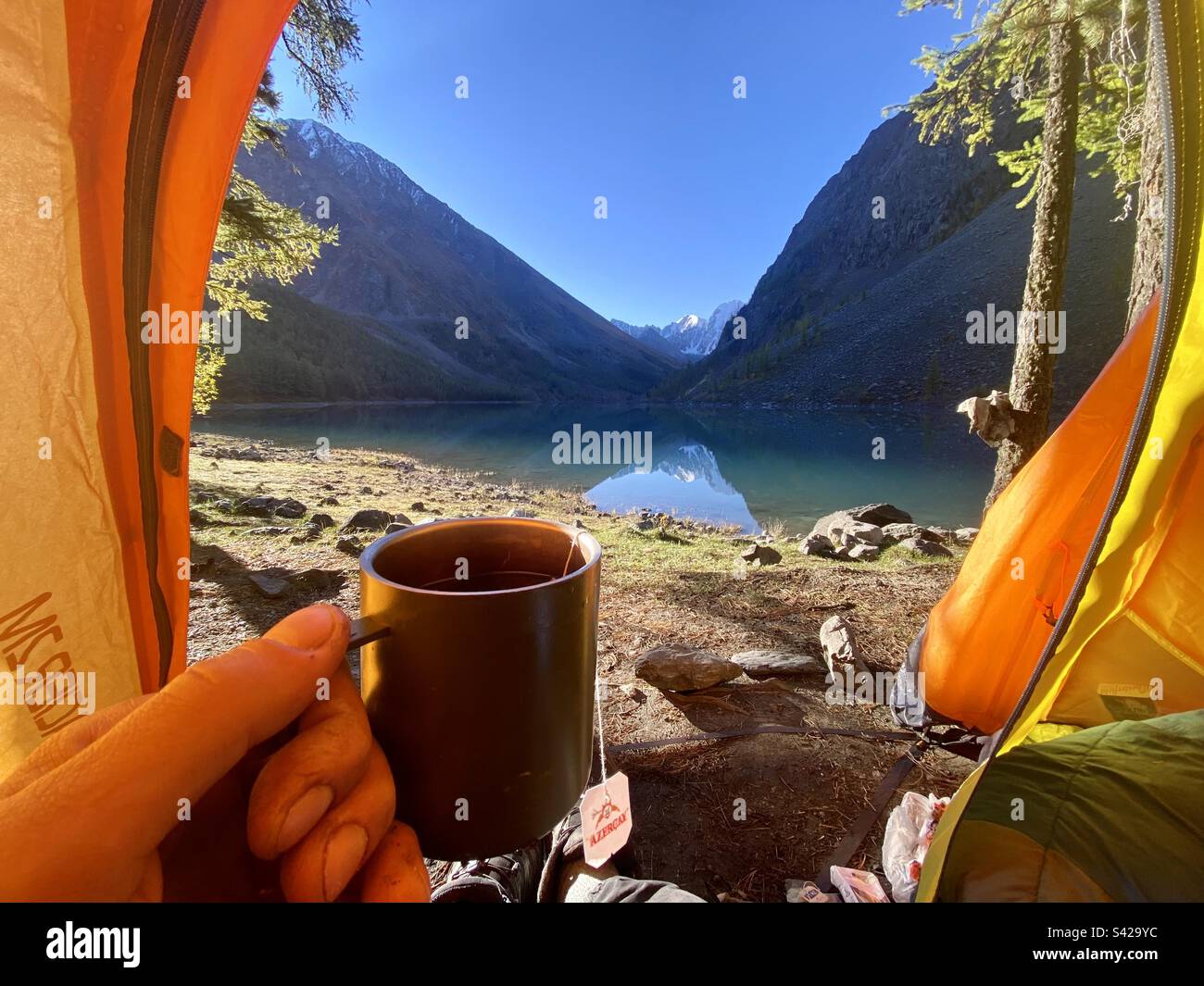 Eine Hand hält eine Tasse Tee aus Azerchai mit Blick vom Zelt auf den Alpensee im Altai-Gebirge am Morgen nach dem Regen. - Smartphone-aufgenommenes Stockfoto