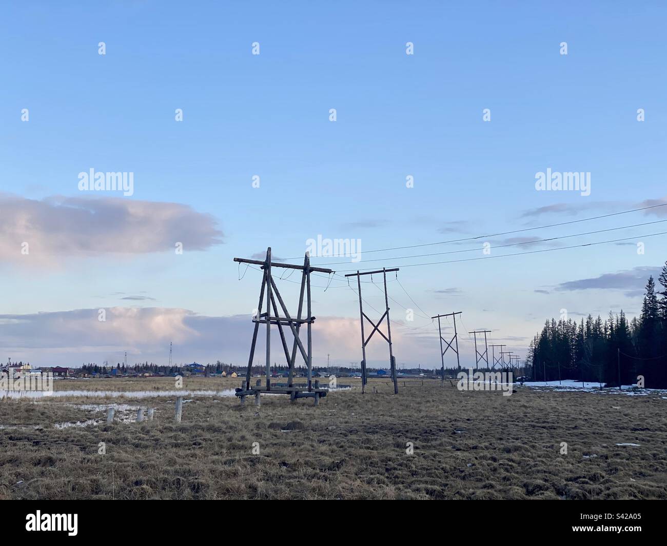 Hölzerne Stangen von Stromleitungen auf einem Feld in der Nähe eines Waldsumpfs hinter einem Dorf im Norden Russlands in Yakutia. - Smartphone-aufgenommenes Stockfoto