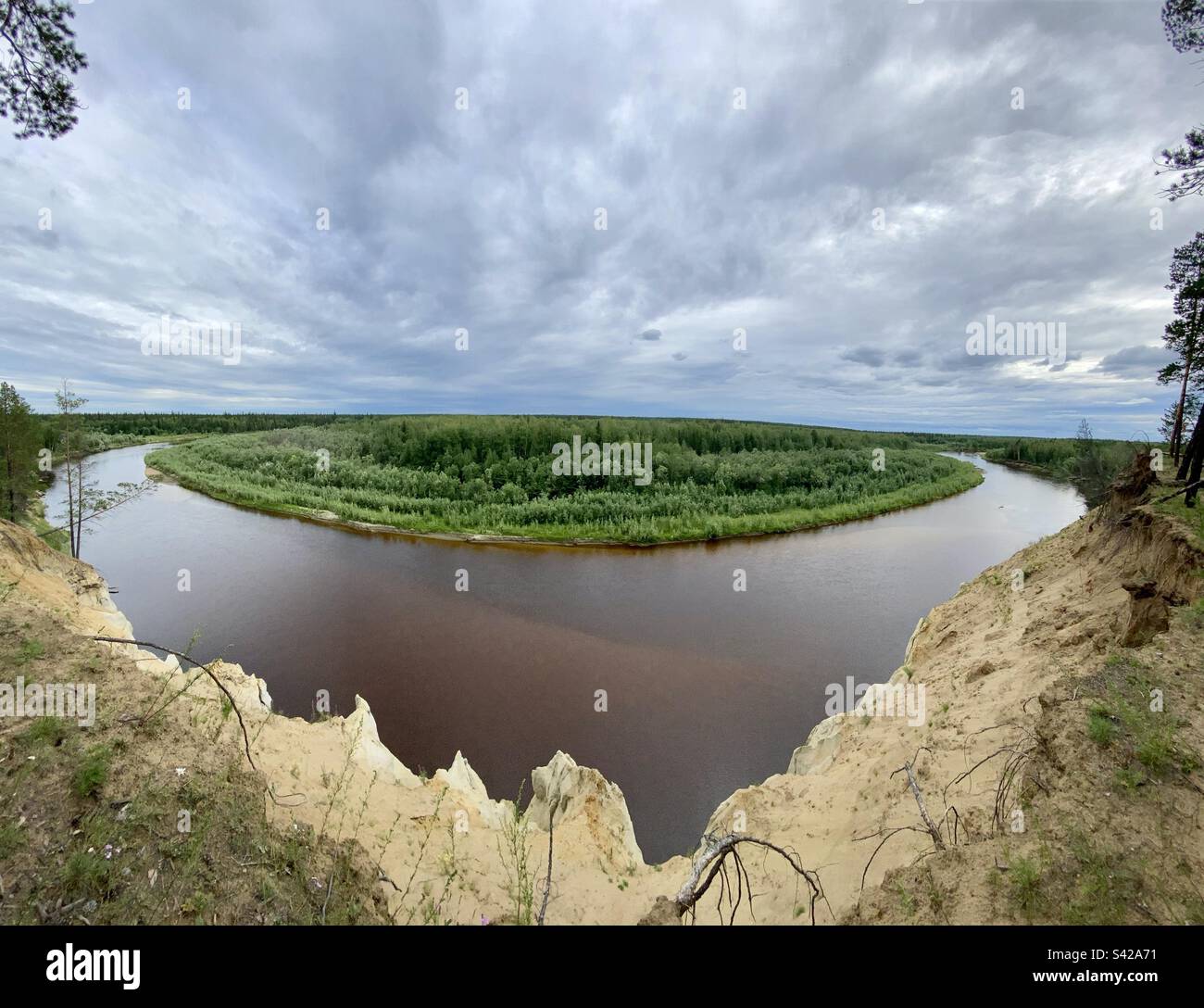 Panoramablick auf die steile Wende des nördlichen Flusses vom Tongebirge mit einem Wald in Yakutia in Sibirien. Stockfoto
