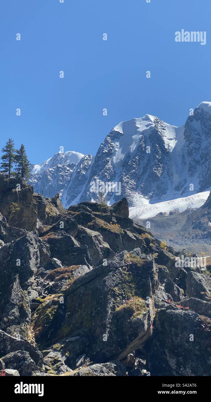 Drei Berggipfel mit Gletschern und Schnee an einer Steinklippe mit Bäumen im Altai in Sibirien. - Smartphone-aufgenommenes Stockfoto
