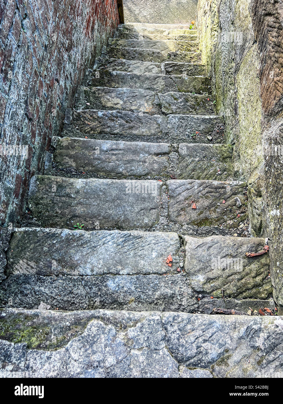 Alte Betontreppen Stockfoto