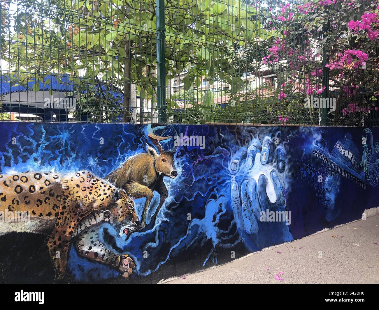 Wandgemälde mit Tiermotiv in Puerto Vallarta, Mexiko. - Smartphone-aufgenommenes Stockfoto