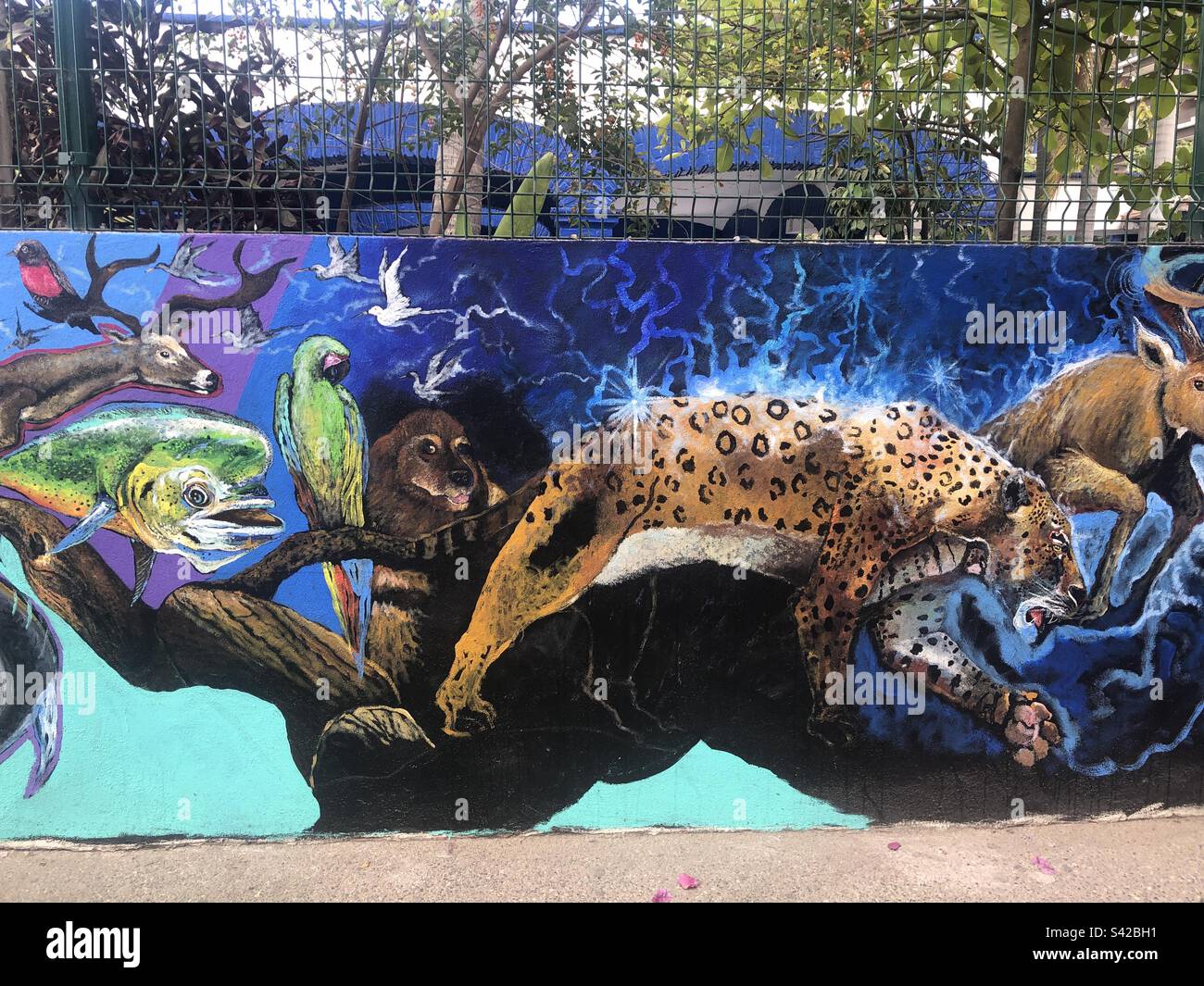 Wandgemälde mit Tiermotiv in Puerto Vallarta, Mexiko. Stockfoto