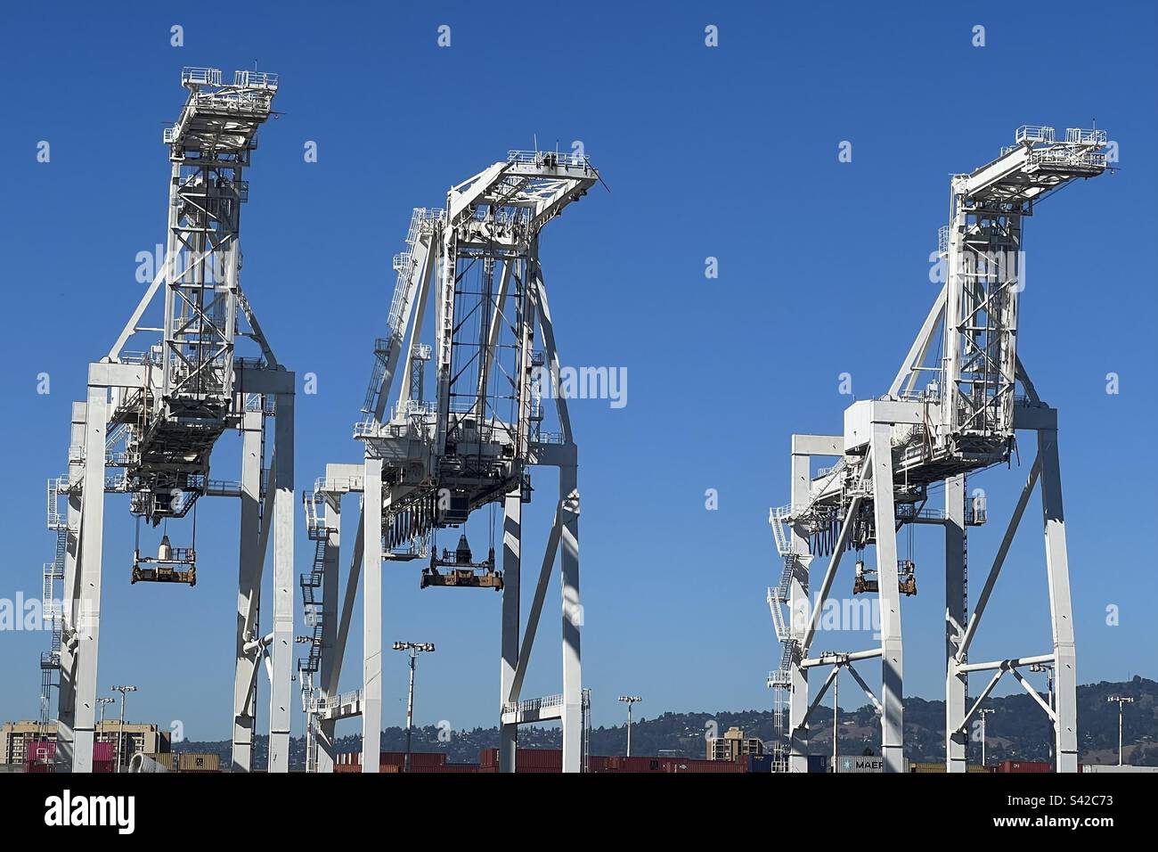 Drei weiße Kraniche, Hafen von Oakland, Kalifornien Stockfoto