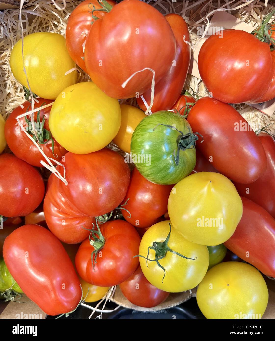 Auswahl an Tomaten auf Stroh. Rote, gelbe und grüne Tomate Stockfoto