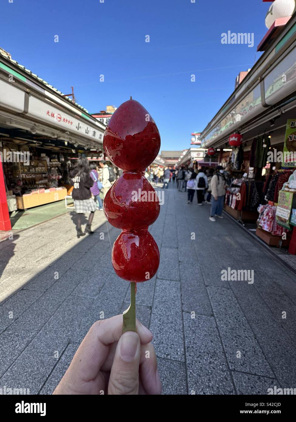 Japanische Erdbeere Stockfoto