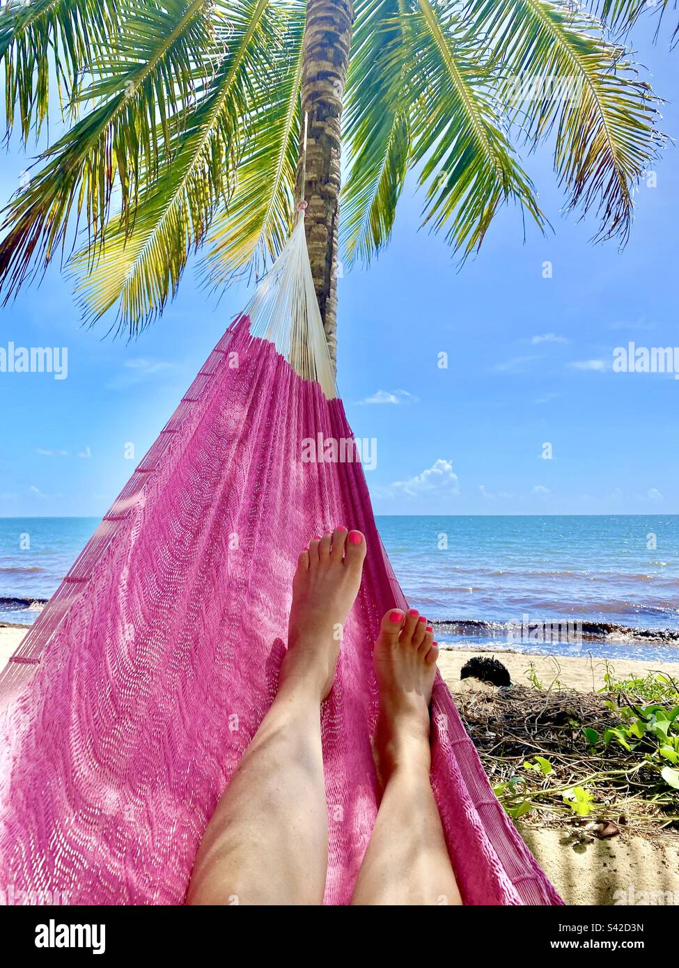 Blick auf die Hängematte am Strand in Hopkins, Belize - Smartphone-aufgenommenes Stockfoto