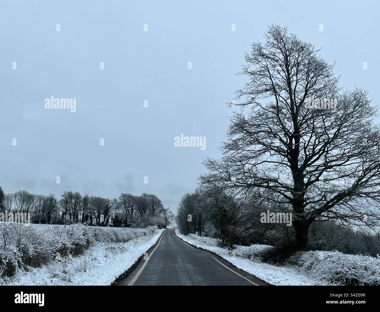 Schneebedeckung an Straßenrändern und Feldern in den Cotswolds am Dienstag, den 7. März 2023 Stockfoto