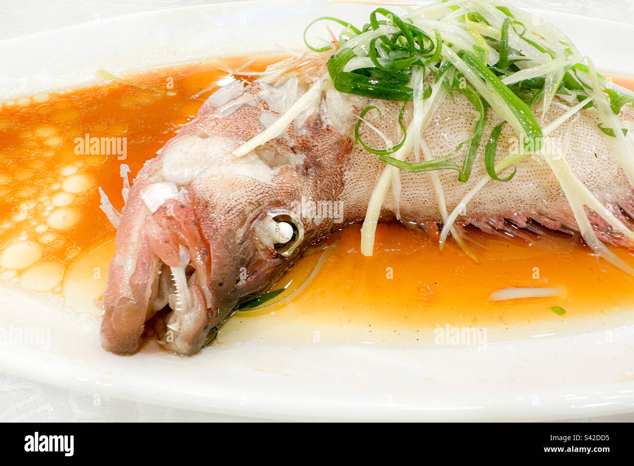 Frischer gedünsteter Fisch im kantonesischen Stil im chinesischen Restaurant Stockfoto
