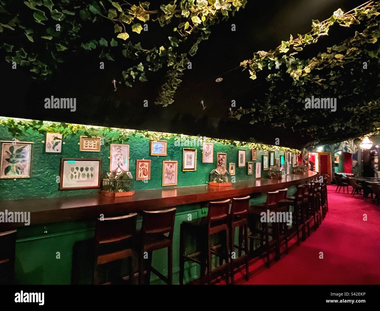 Kensington Gardens Bar in der Royal Albert Hall - vielseitige Inneneinrichtung im botanischen Gartenstil - Bar mit geschwungenen Bereichen - Smartphone-aufgenommenes Stockfoto