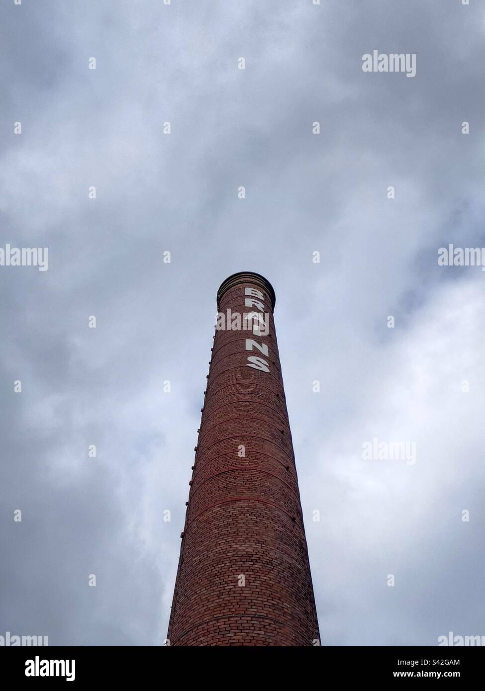 Gehirnschornstein Stockfoto