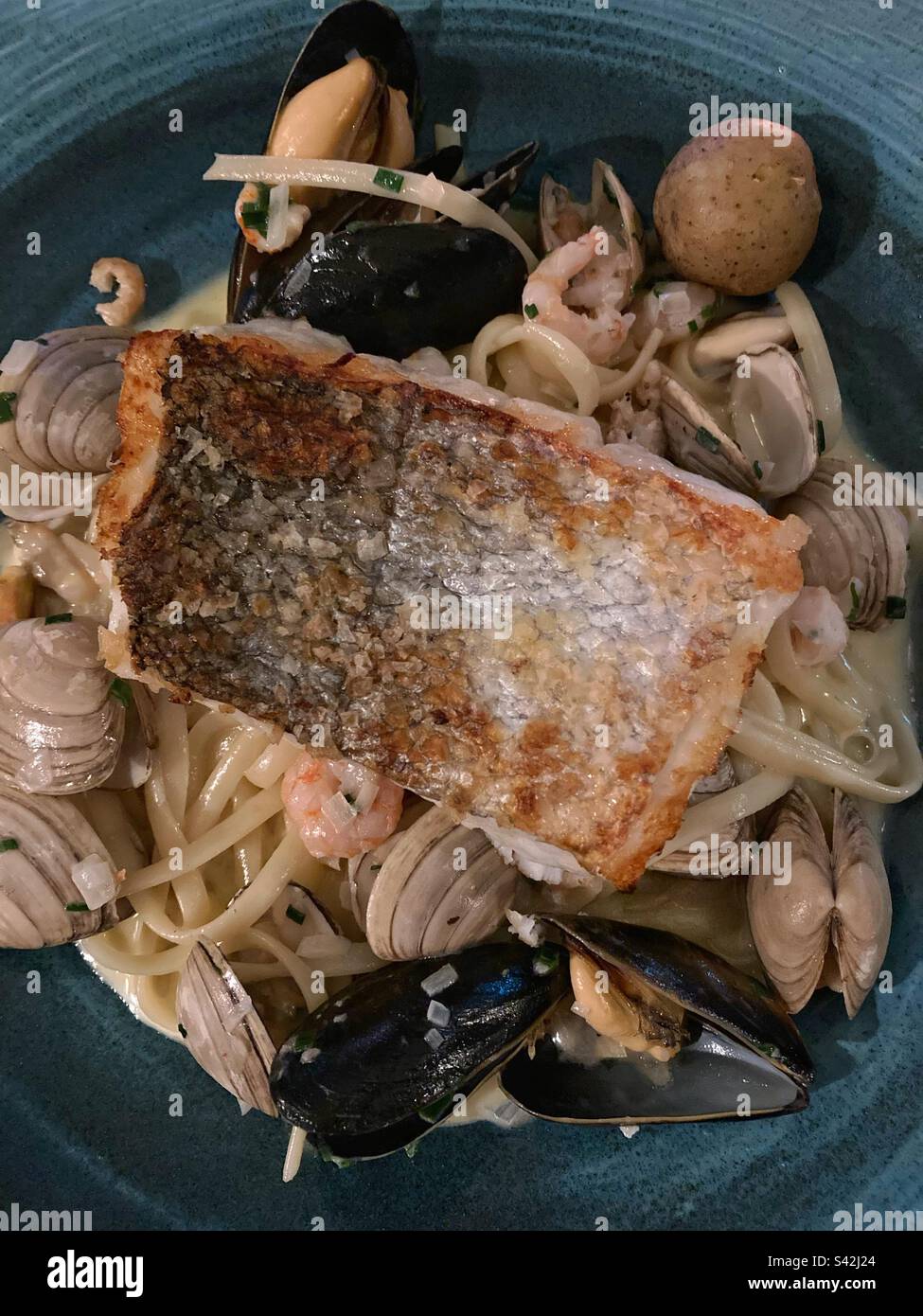 In der Pfanne gebratener Seehecht auf Meeresfrüchten Linguine Stockfoto